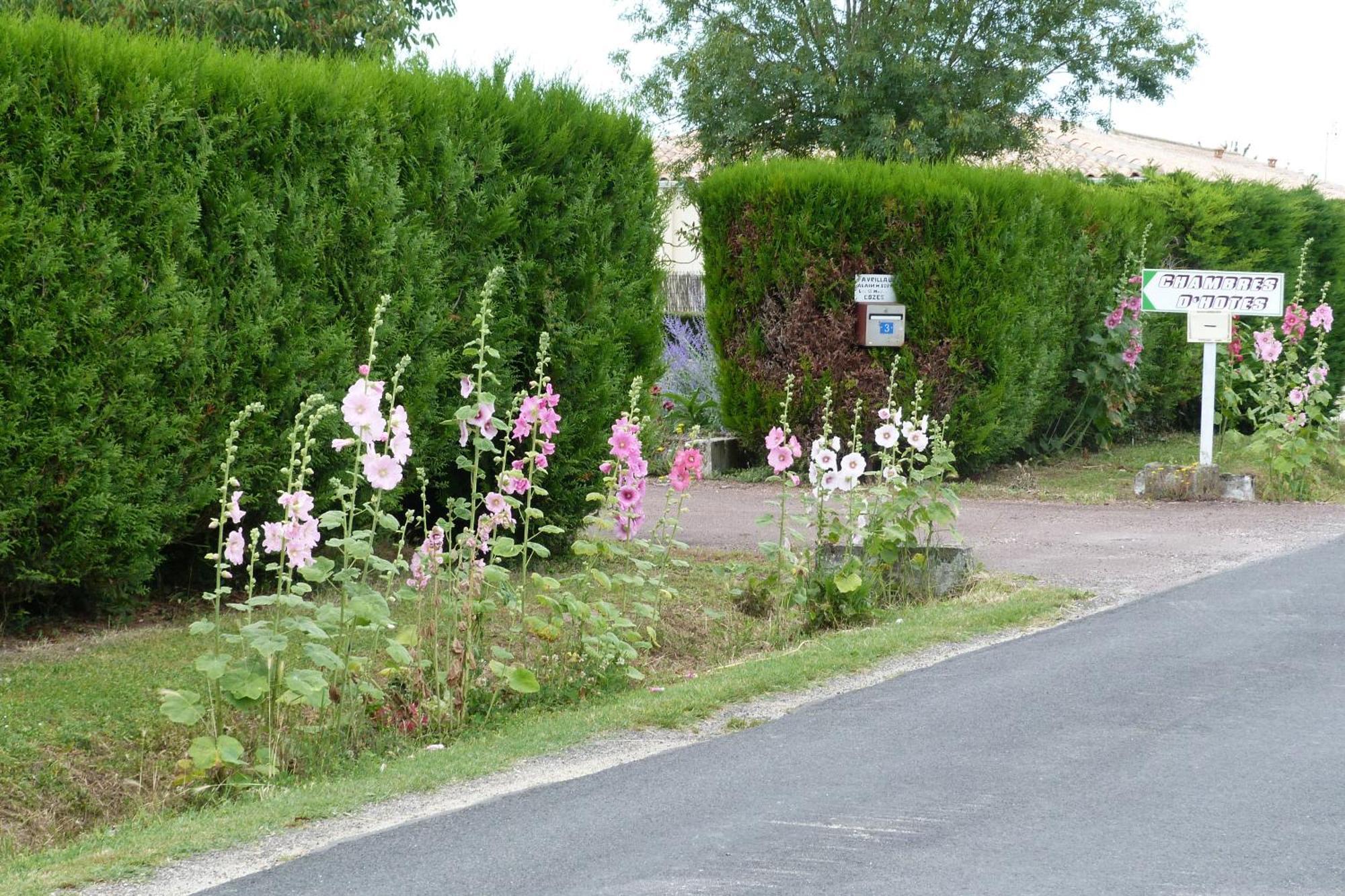 Chambre D'Hotes Les 3 Moulins Cozes Buitenkant foto