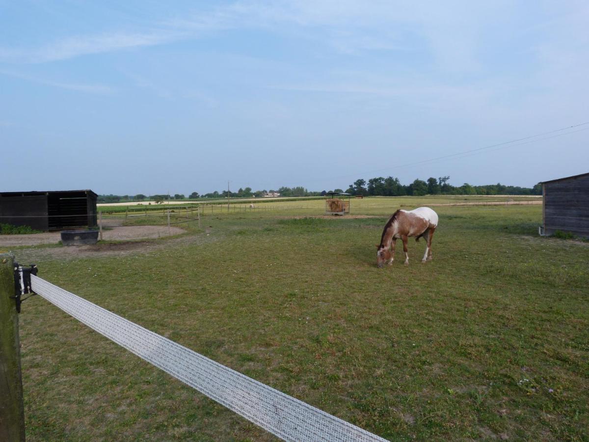 Chambre D'Hotes Les 3 Moulins Cozes Buitenkant foto